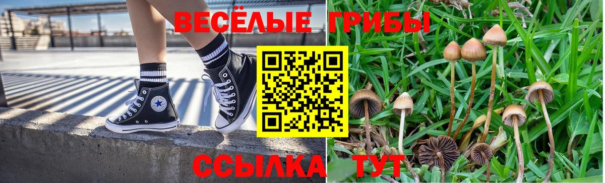 Когалым  Галлюциногенные грибы Psilocybine cubensis  Вход с VPN 